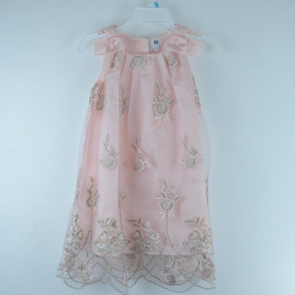 Janie and Jack Special Occasion Dress Size 4 Pink/gold Floral Embroidered Tulle